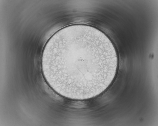 X0000111431338200907271056