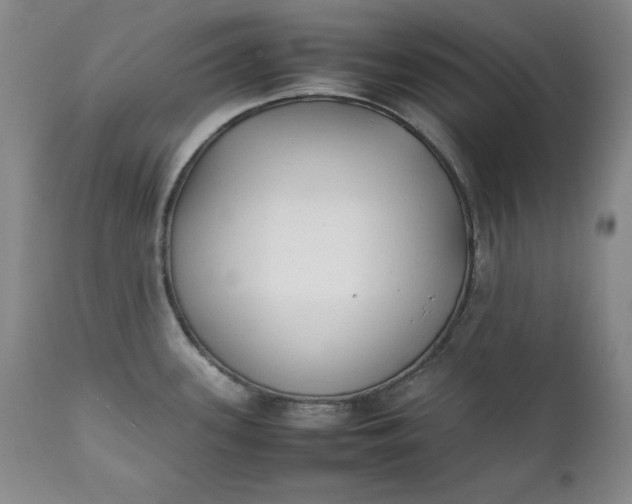 X0000111431339200907271056