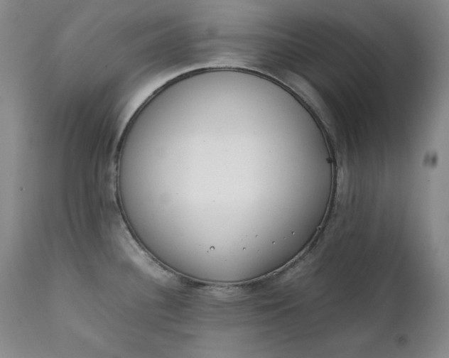 X0000111431340200907271056