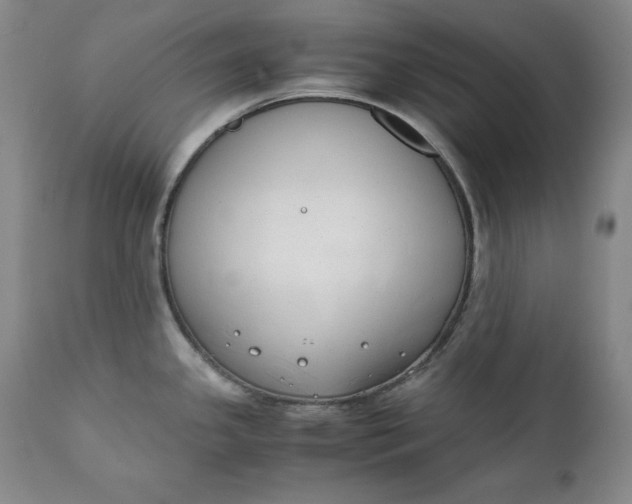 X0000111431341200907271056