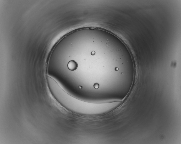 X0000111431342200907271056