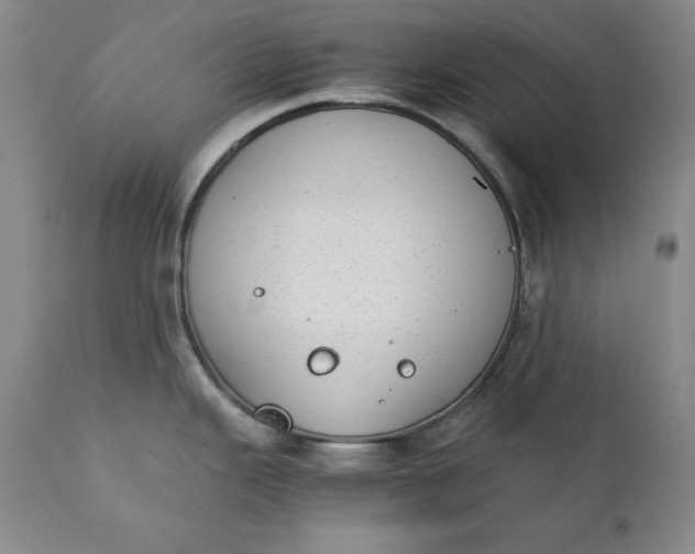 X0000111431343200907271056