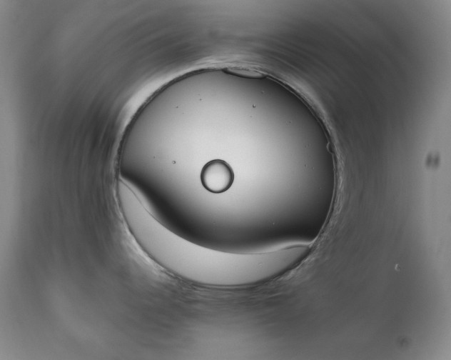 X0000111431344200907271056