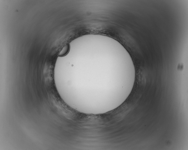 X0000111431346200907271056