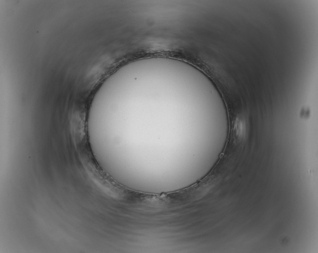 X0000111431348200907271056