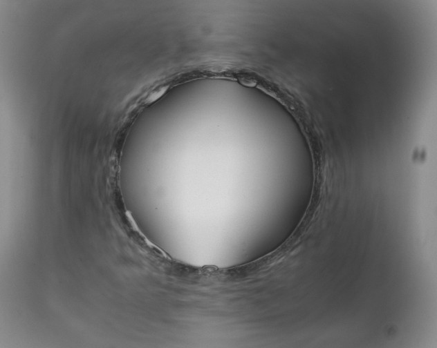 X0000111431349200907271056