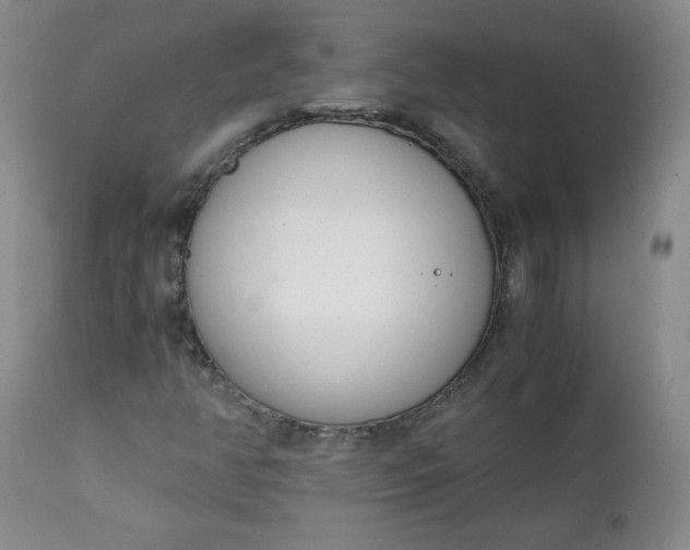 X0000111431350200907271056