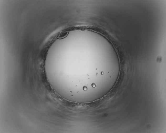 X0000111431351200907271055