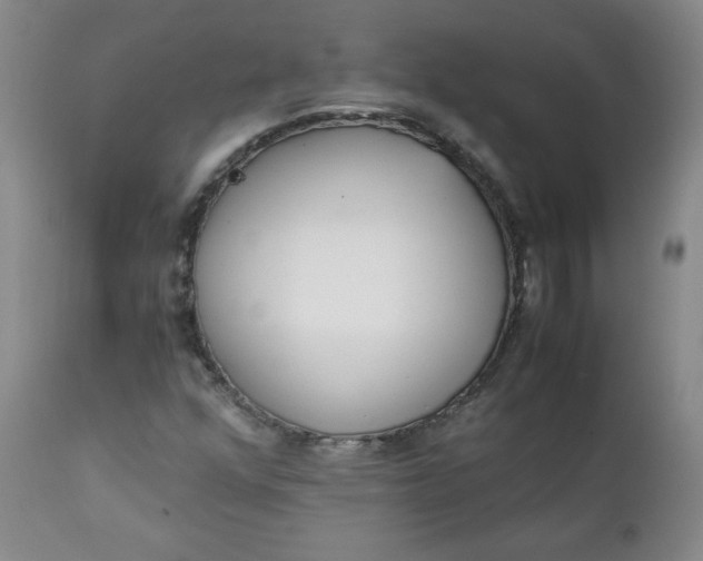 X0000111431352200907271055