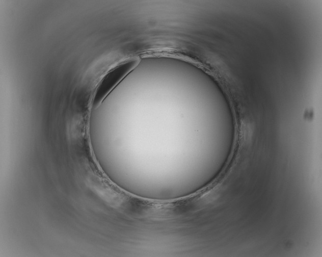 X0000111431353200907271055