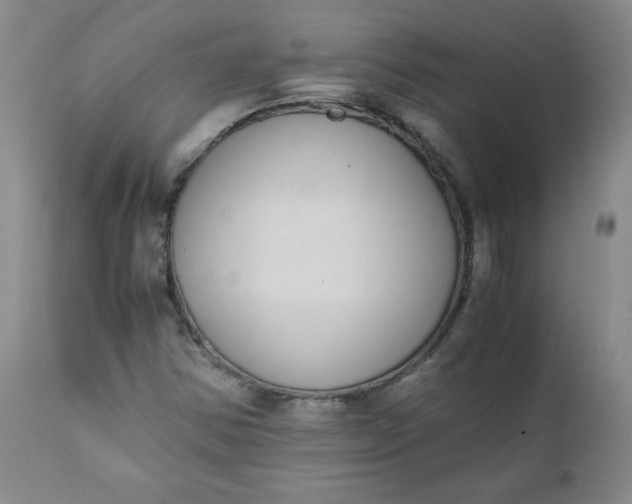 X0000111431354200907271055