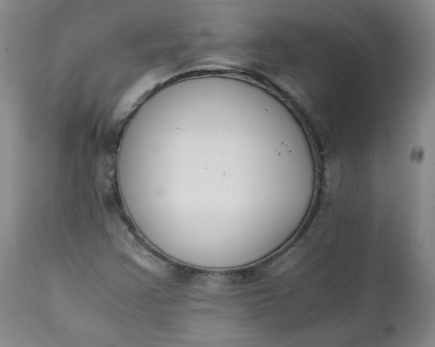 X0000111431355200907271055