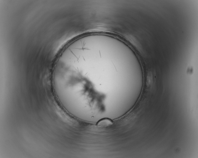 X0000111431356200907271055