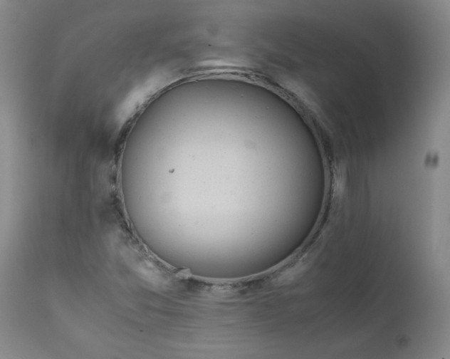 X0000111431357200907271055