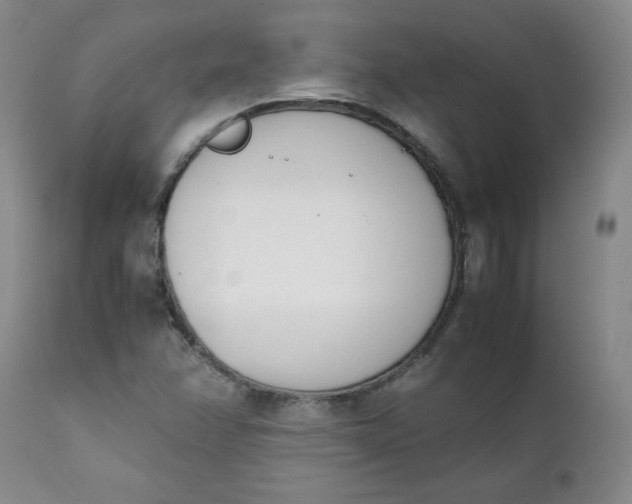 X0000111431358200907271055