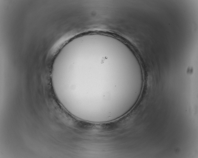 X0000111431359200907271055