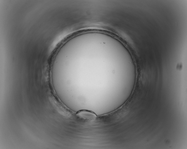 X0000111431360200907271055