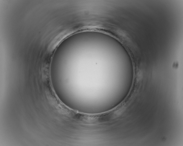 X0000111431361200907271055