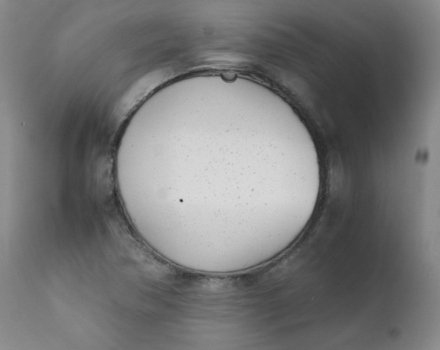 X0000111431362200907271055