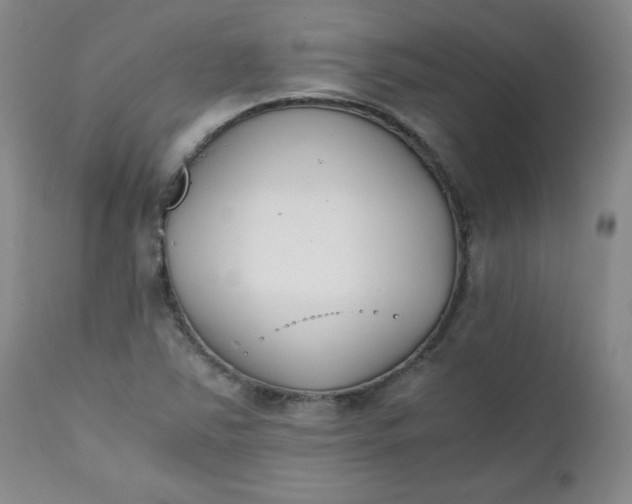 X0000111431363200907271055