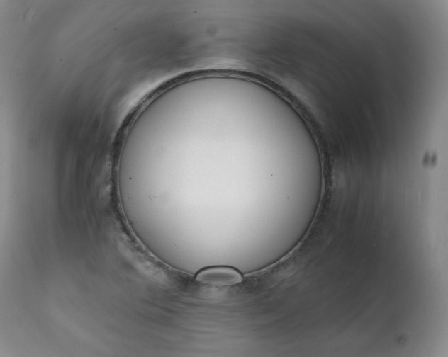 X0000111431364200907271055