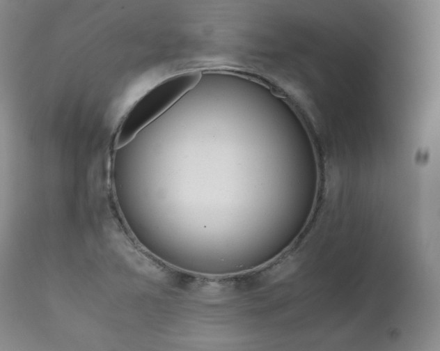 X0000111431365200907271055