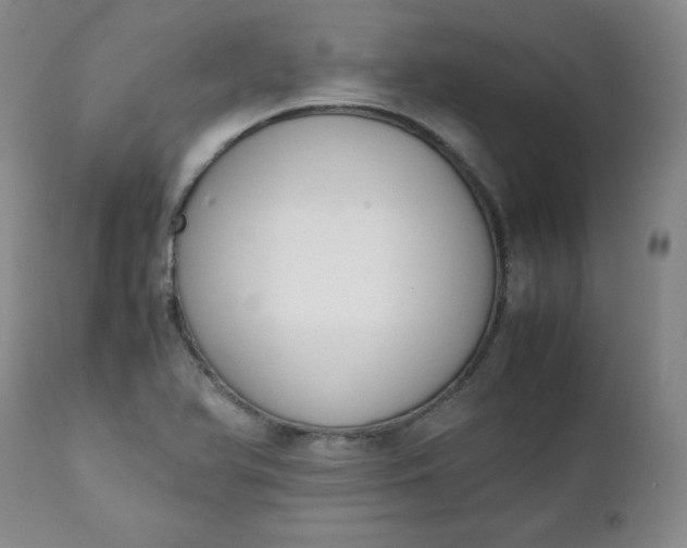 X0000111431366200907271055