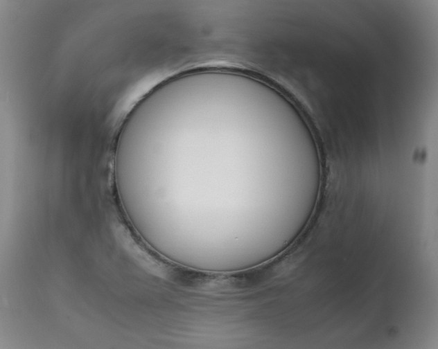 X0000111431367200907271055