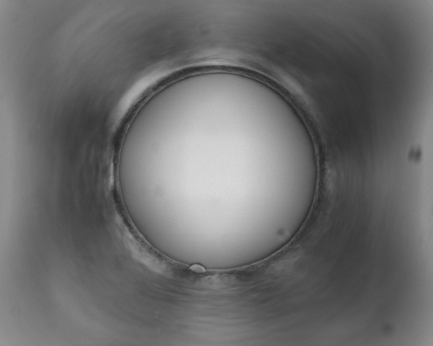 X0000111431368200907271055