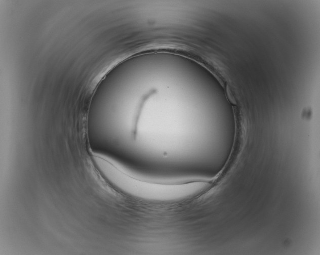 X0000111431369200907271055