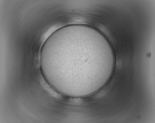 X0000111431370200907271055