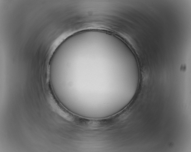 X0000111431371200907271055