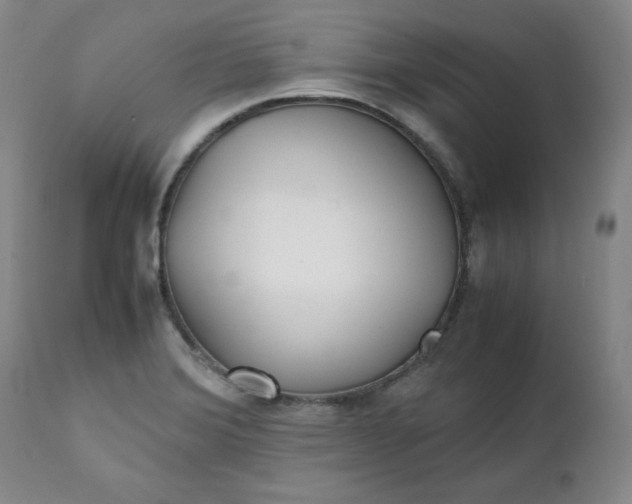 X0000111431372200907271055