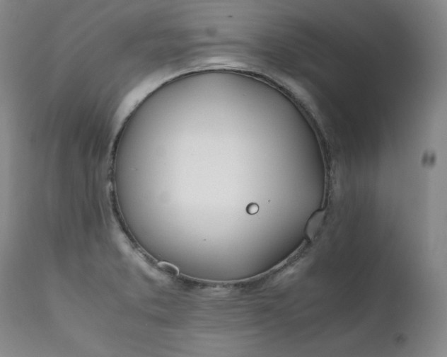 X0000111431373200907271055