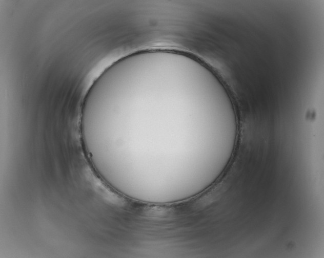 X0000111431374200907271055