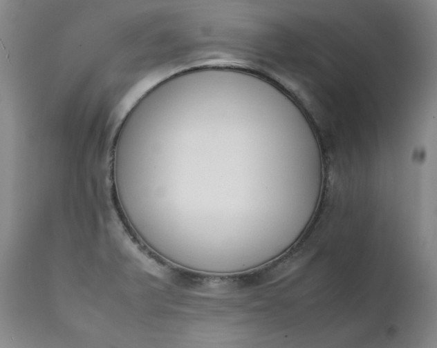 X0000111431375200907271055