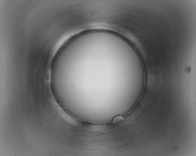 X0000111431376200907271055