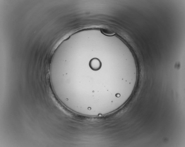 X0000111431377200907271055