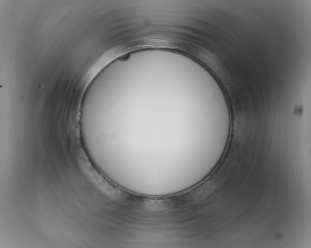 X0000111431378200907271055