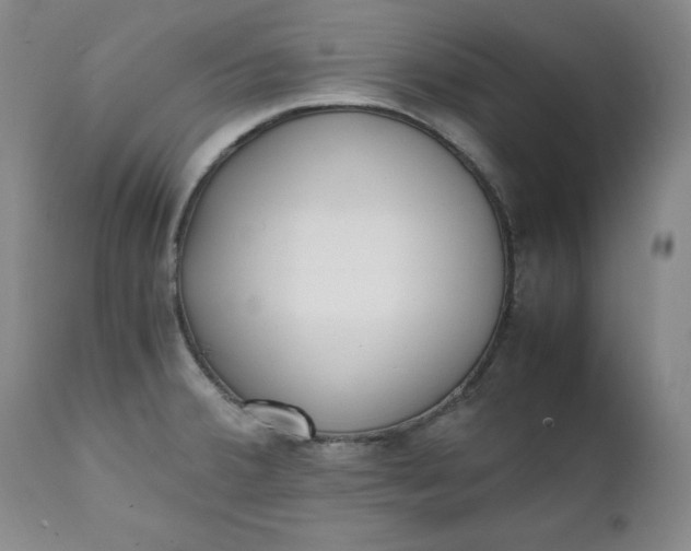 X0000111431380200907271055