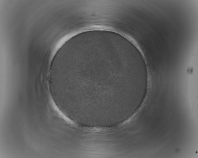 X0000111431381200907271055