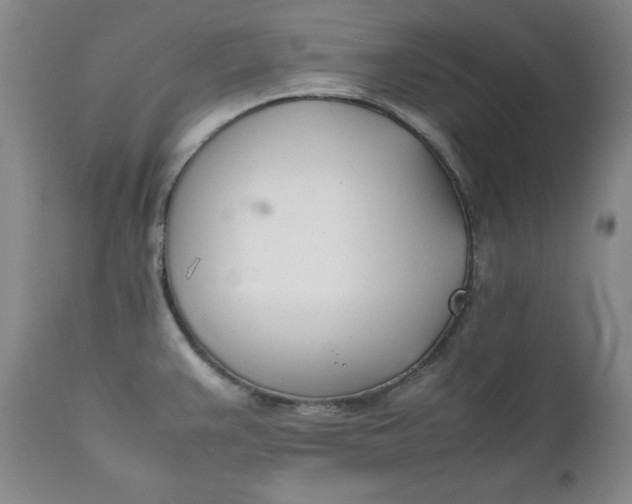 X0000111431383200907271055