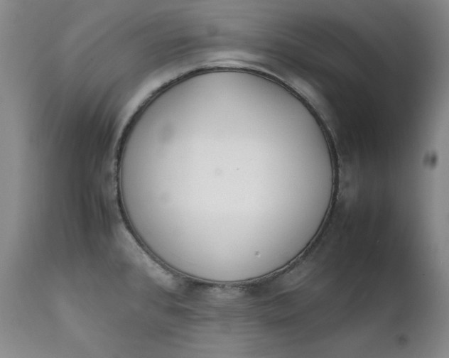 X0000111431384200907271055