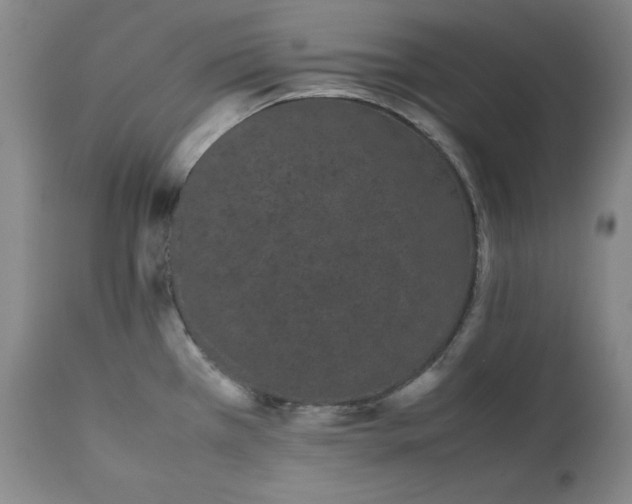 X0000111431385200907271055