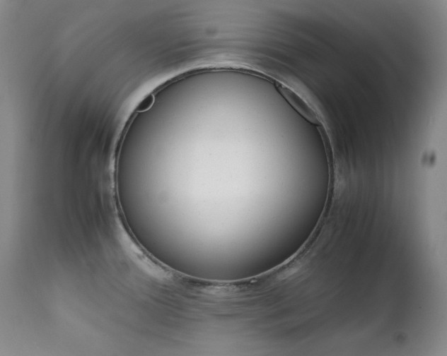 X0000111431388200907271055