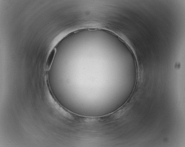 X0000111431389200907271055