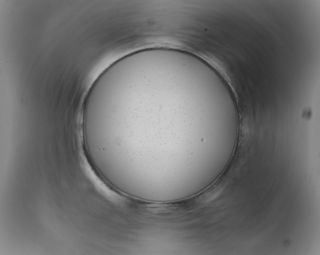 X0000111431391200907271055