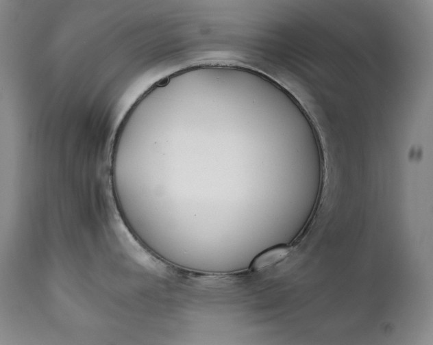 X0000111431392200907271055