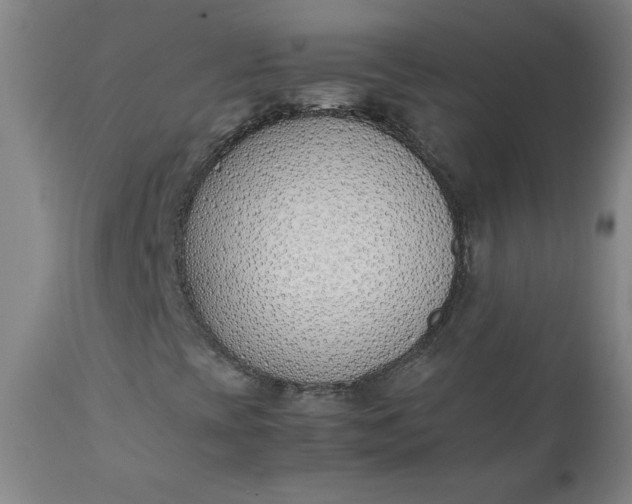 X0000111431393200907271054