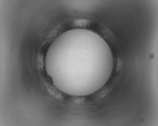 X0000111431394200907271054